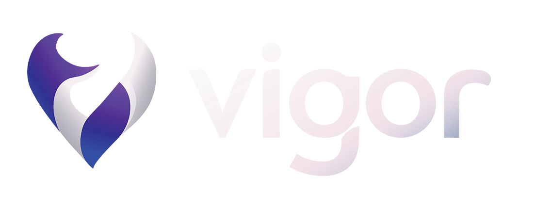 Vigor Digital Solution Sdn Bhd logo